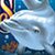 Dolphins-Pearl